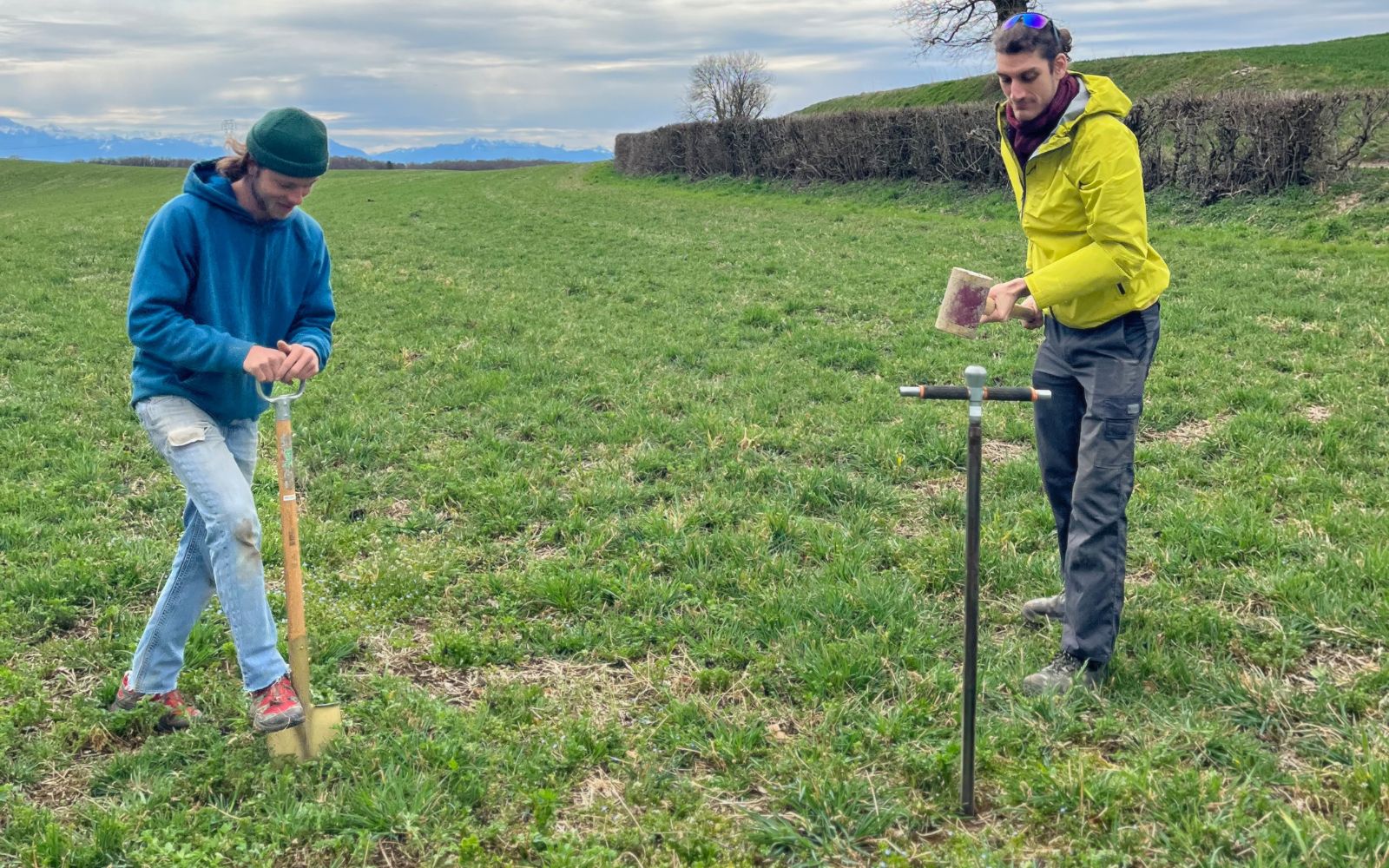 Outils d'échantillonnage de sol enfoncés dans la terre avec une règle pour l'évaluation de la teneur en carbone organique dans les pratiques agricoles