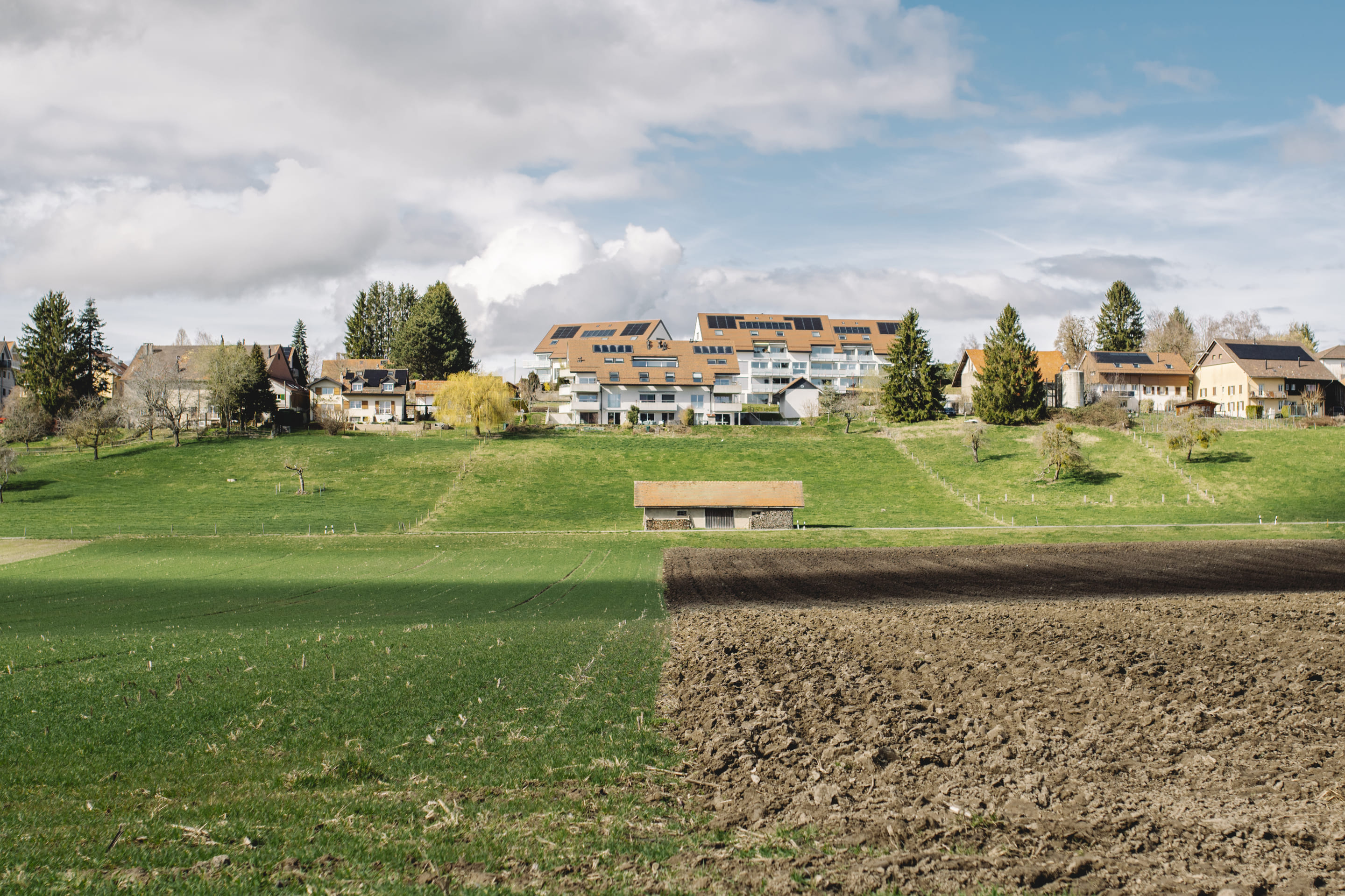 photographie d'un champ cultivé au premier plan et des habitations au second plan