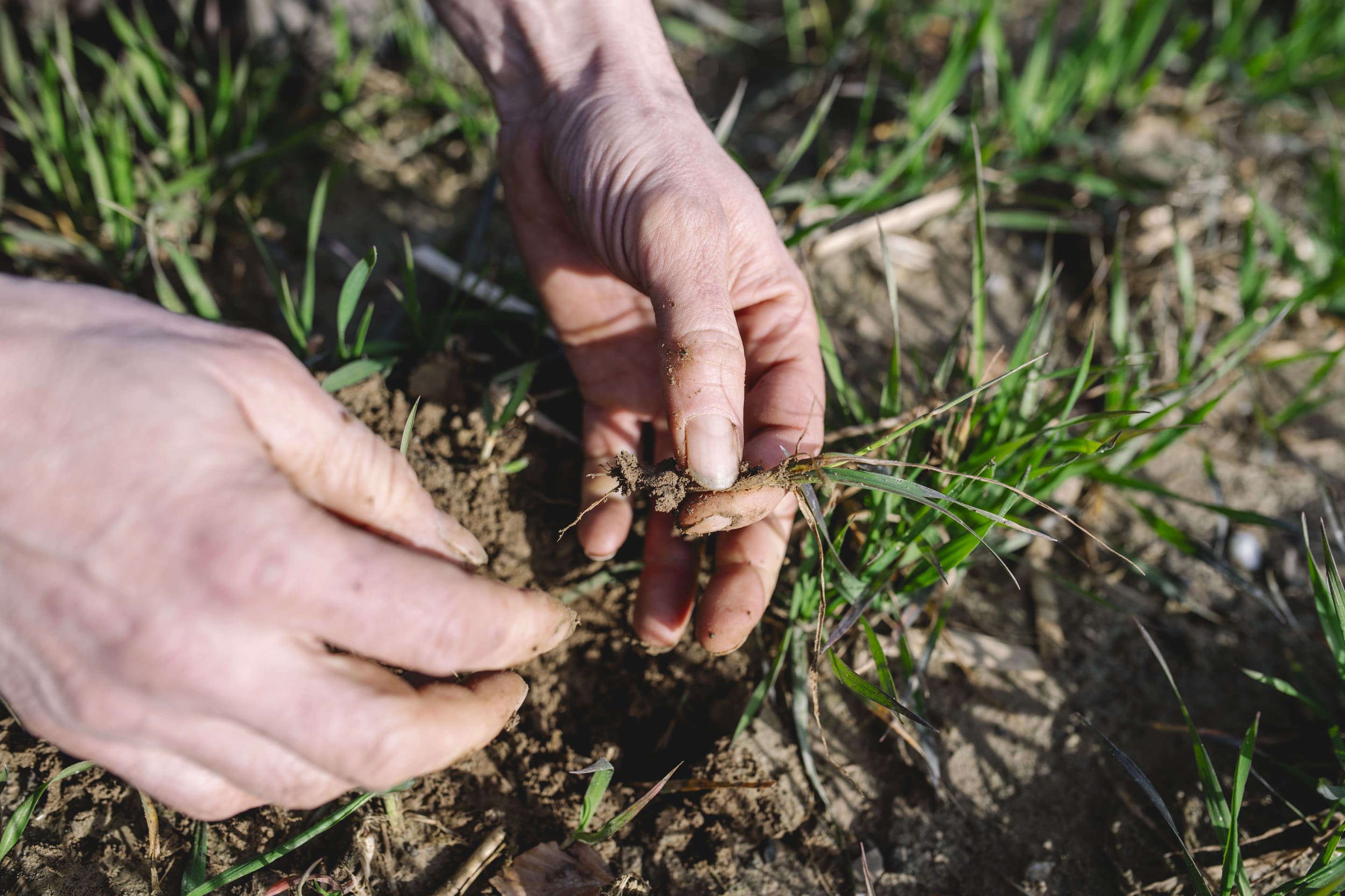 Photo aérienne d'une exploitation agricole, soutenir la transition climatique de l'agriculture avec AgroImpact