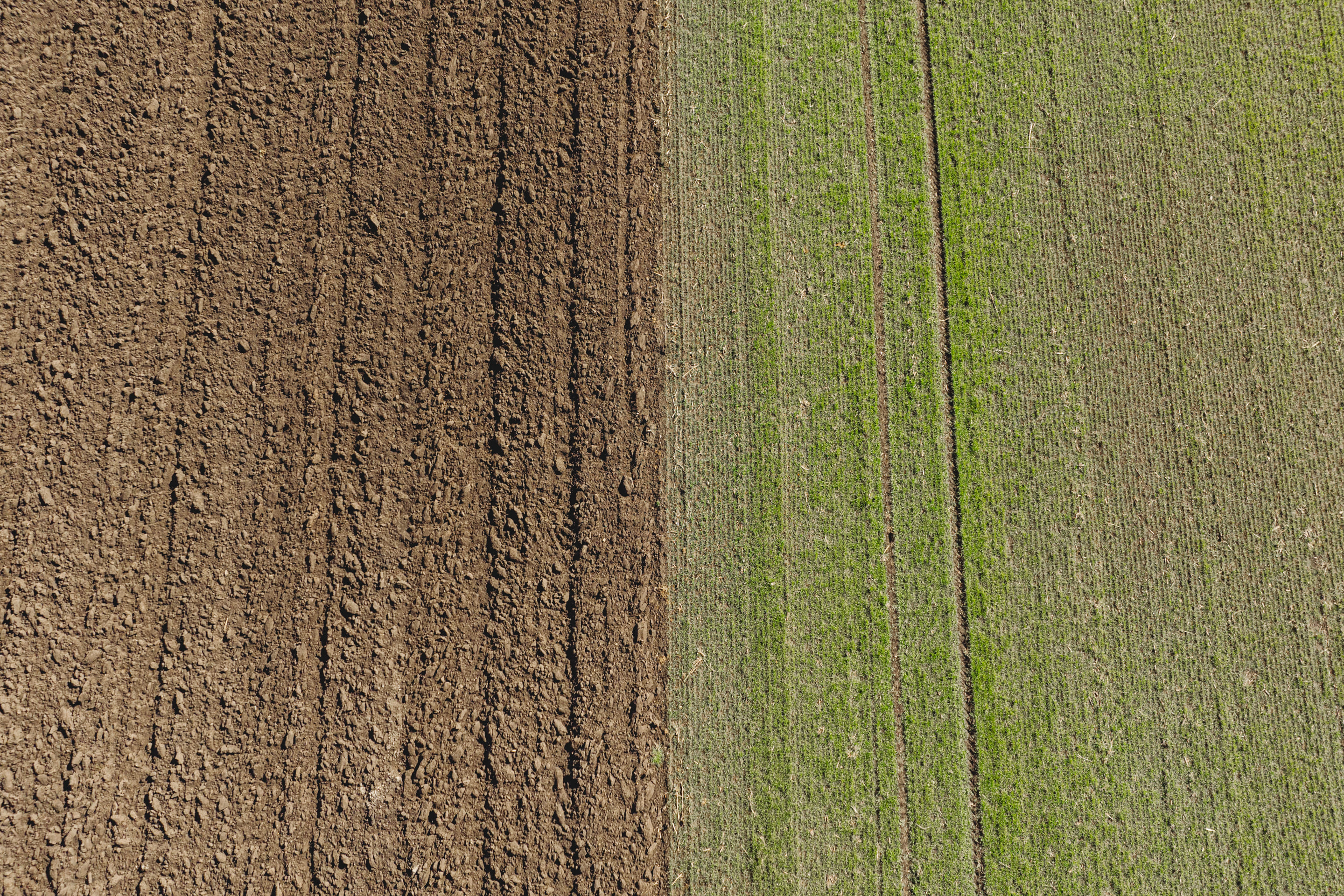 photographie aérienne d'une champ cultivé 