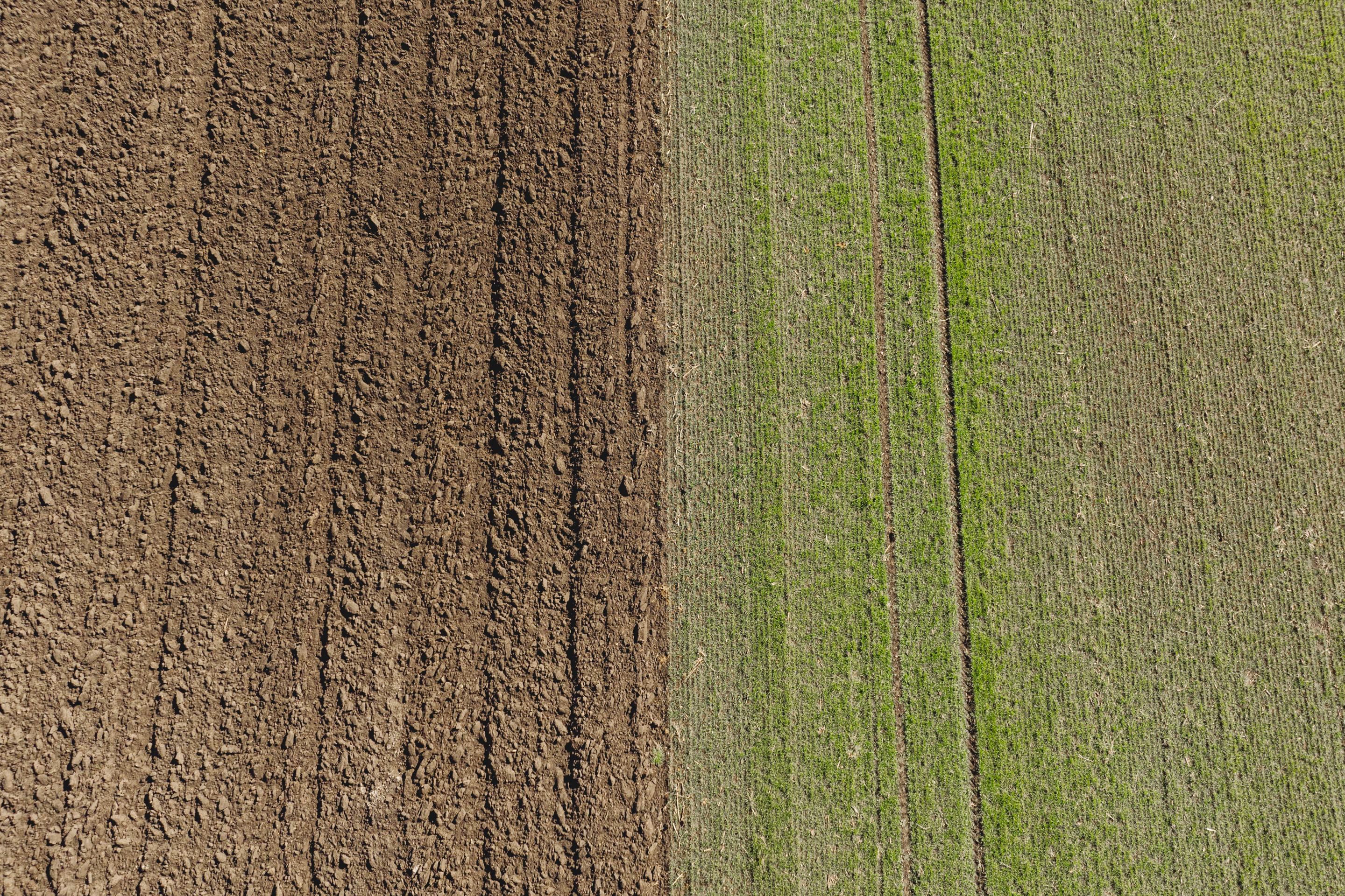 photographie aérienne d'une champ cultivé 